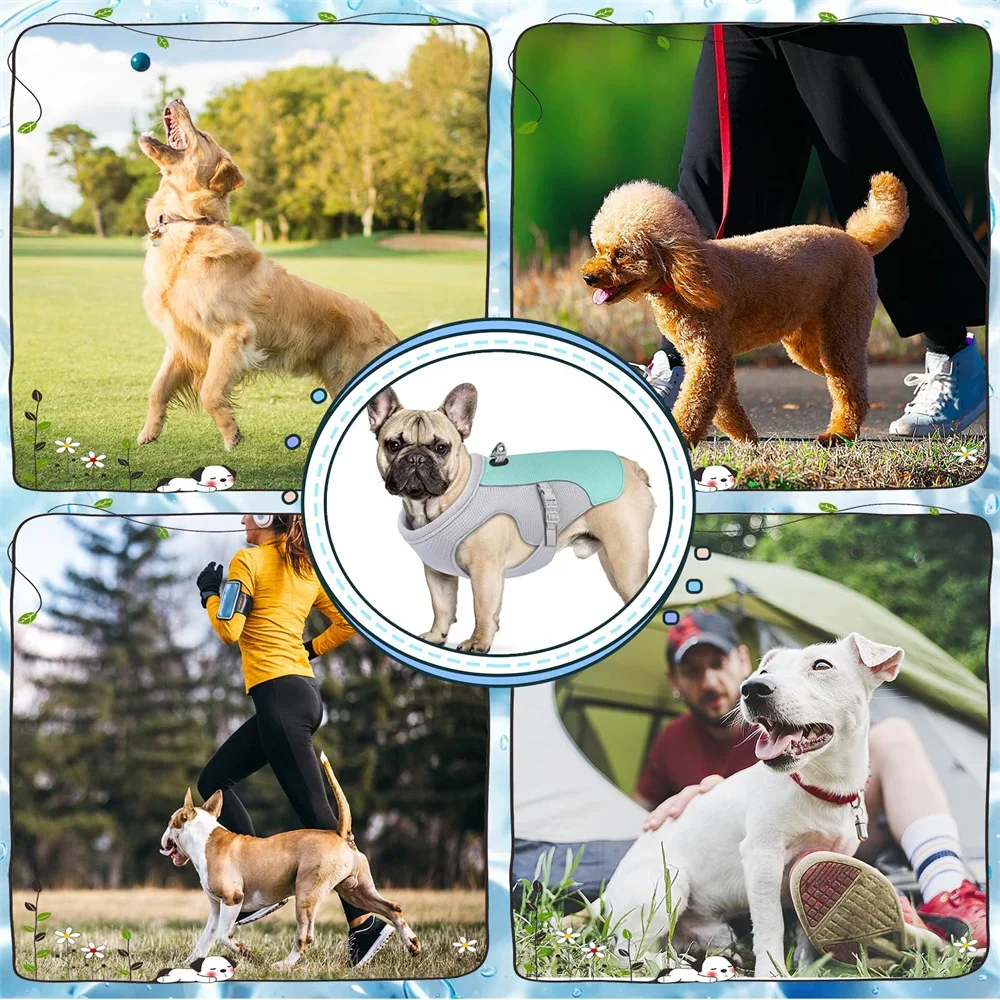 Sommerreflekterende kjølevest til hunder med hurtigutløsning til små, mellomstore hunder utendørs turgåing camping