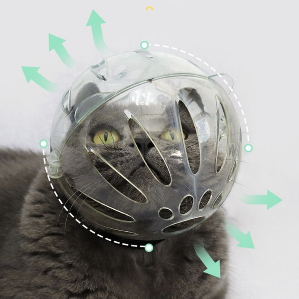 Masque muselière respirant et robuste, couvre-tête de chat, capuche spatiale, casque de protection pour chaton en forme de boule, Anti-morsure, fournitures de toilettage pour animaux de compagnie