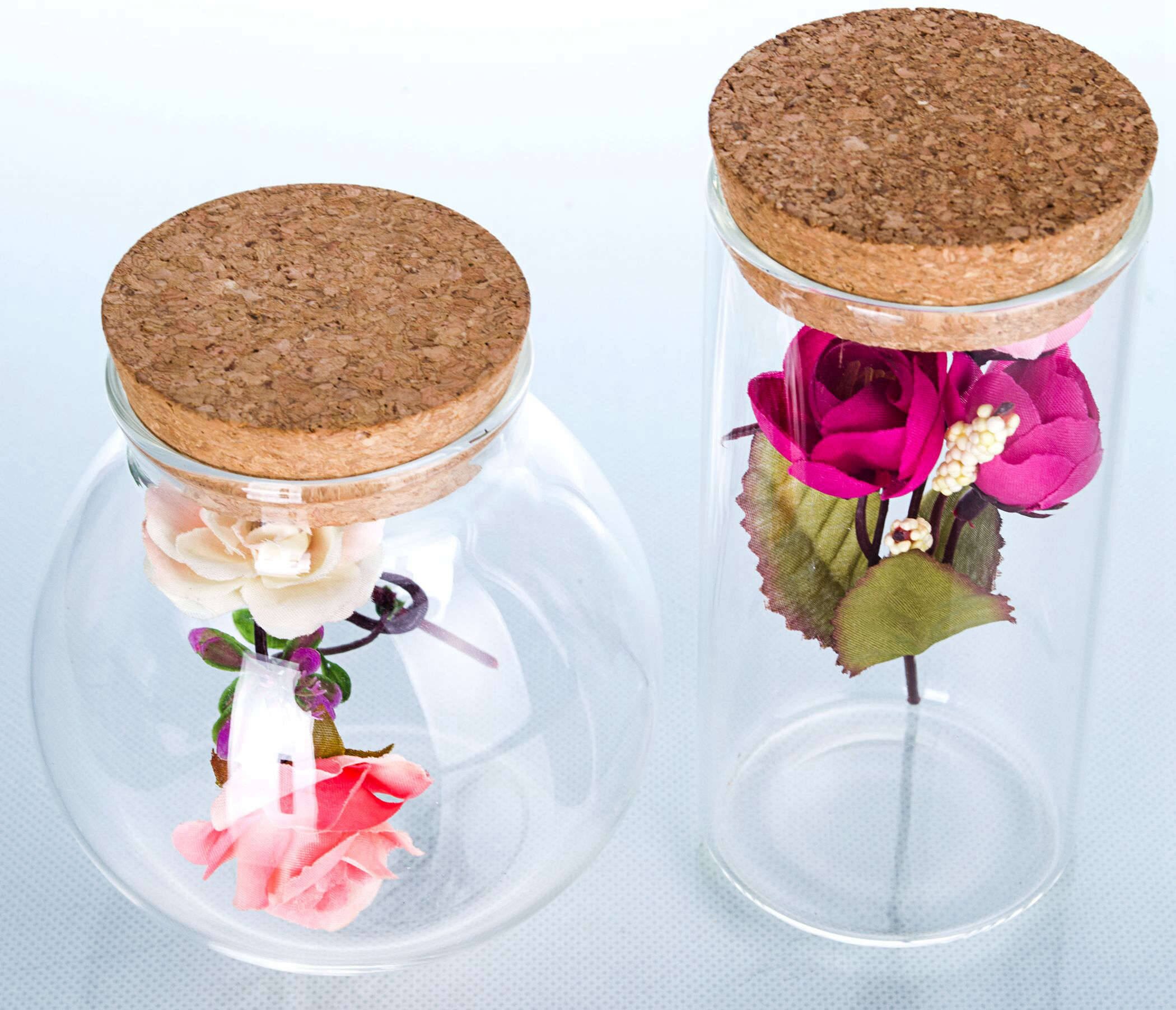 Lots Sized Glass Canister with Wooden Lid for Tea Coffee Sugar Storage Caddy