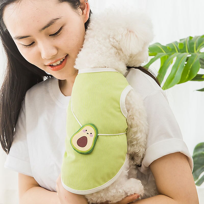 Huisdier Kleding Dun En Ademend Groene Avocado Satchel Vest In Lente En Zomer Teddy Chihuahua Kat Two Legged Kleding