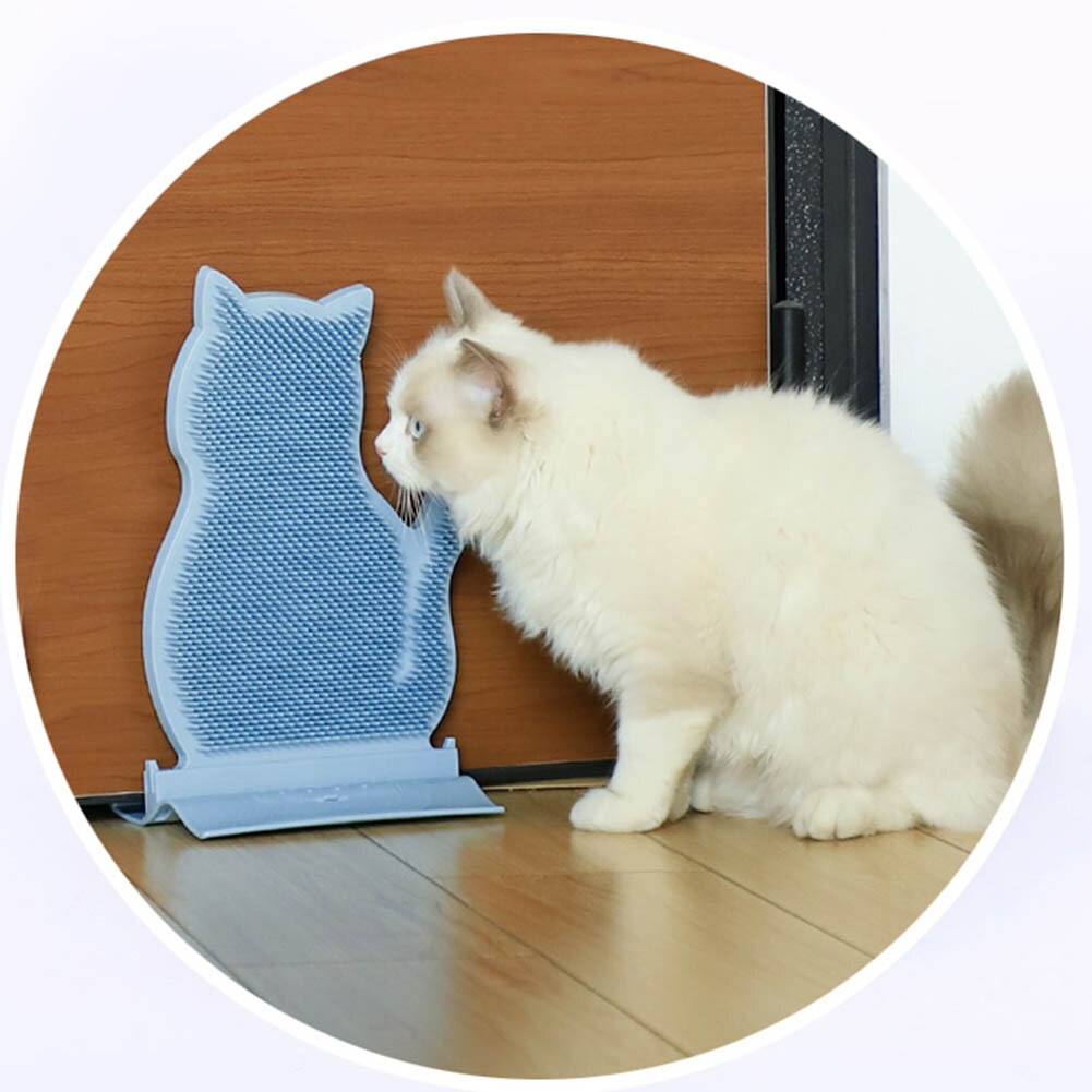 Städning fäller hår katt kliar borste dörrfäste husdjur brudgum kliar kam fping