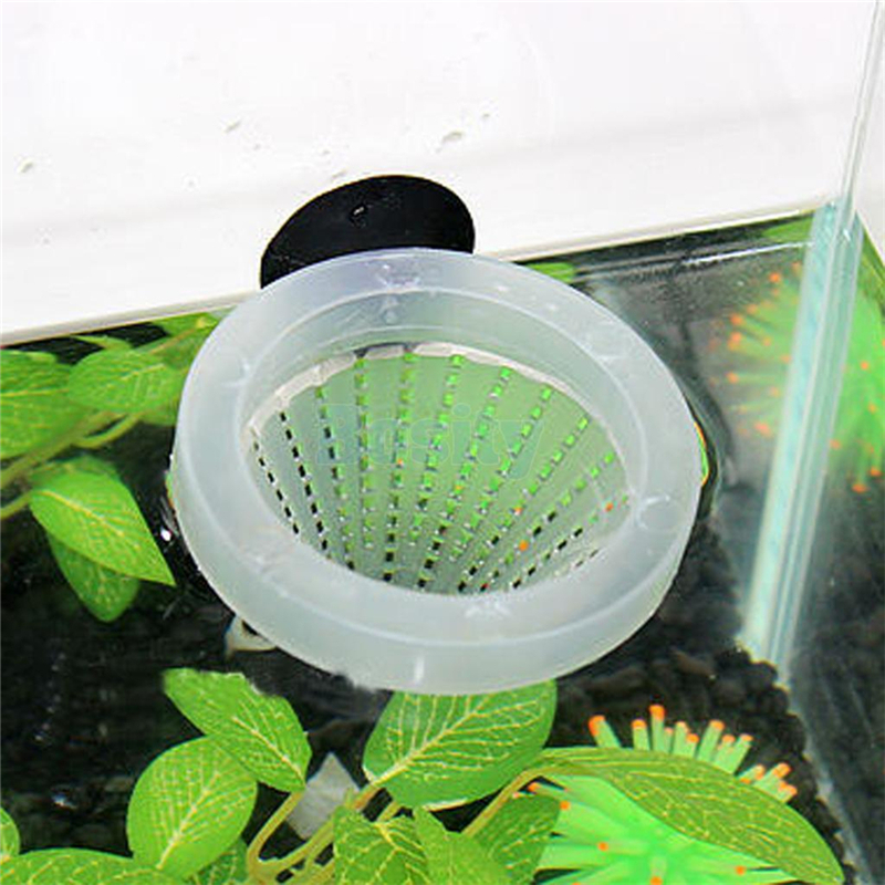 4x akvarium röd maskmatare konmatning för fisketank ängelfisk diskusfisk