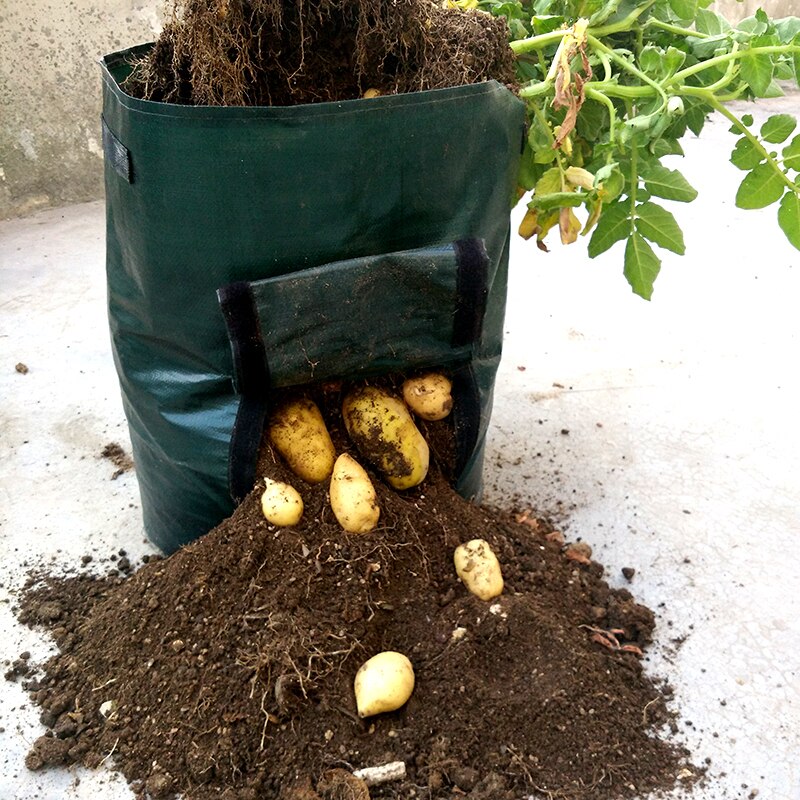 Maceta de gran planta de 7-10 galones, bolsas para el cultivo de semillas, herramientas para el jardín, tela de fresa y patata, macetas para cultivo de semillas