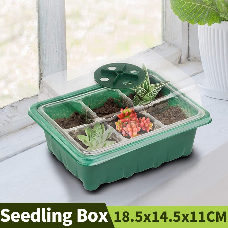 Caja de siembra de 6/12 agujeros, bandejas de germinación de plántulas de cubierta transpirable ajustable, macetas de vivero de patio de jardín con cúpula y Base