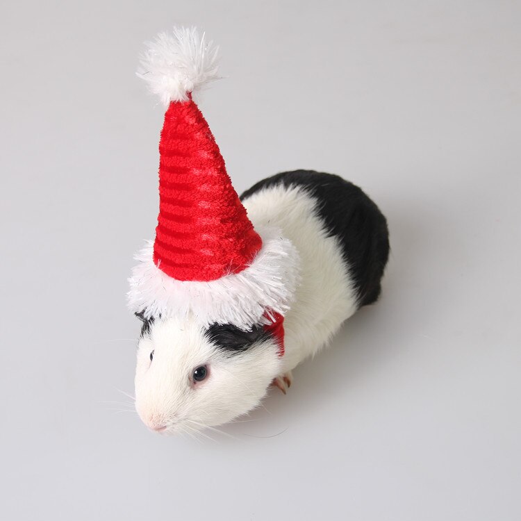 Jul lille dyr hamster hat vinter varm marsvin kanin chinchilla hat kappe kæledyr grooming tilbehør