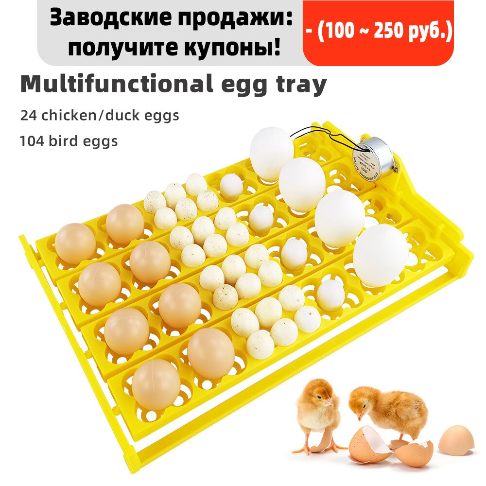 Incubateur automatique 104 œufs CE, incubateur pour 24 œufs d&#39;oiseaux, canard, poulet, 110V/220V/12v, plateaux avec moteur à rotation automatique