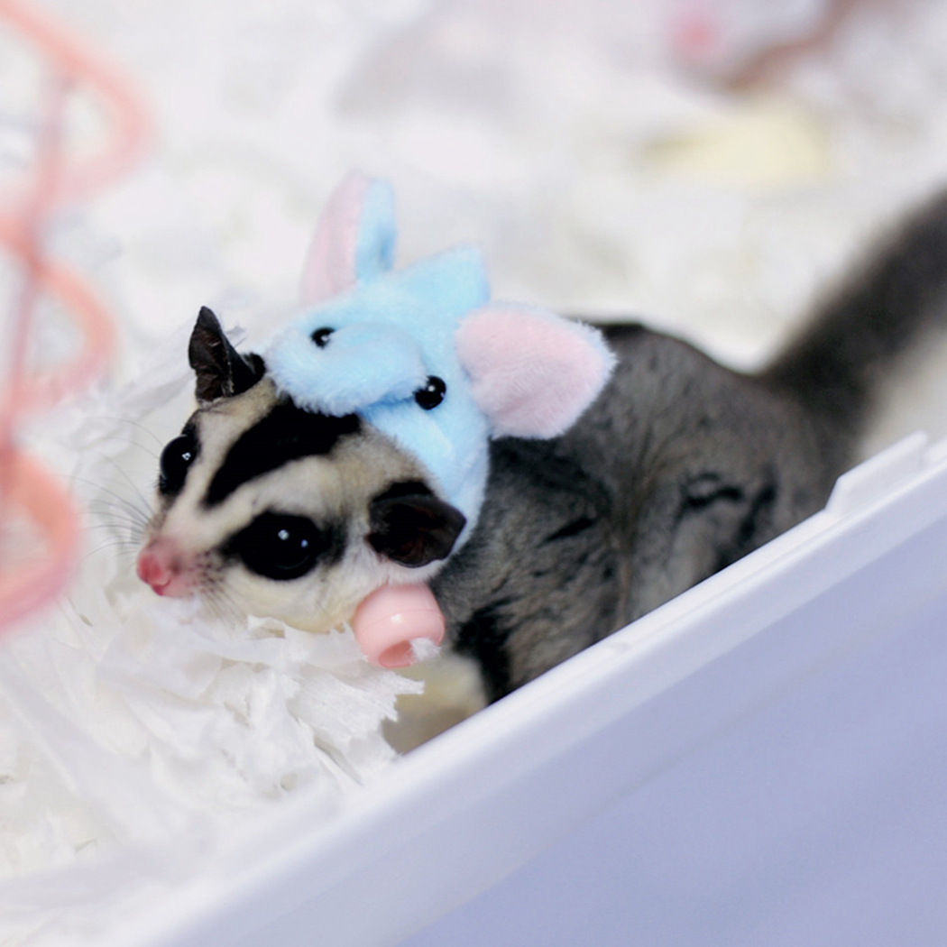 Pet Hoed Decoratieve Party Pet Cap Voor Hamster Vogel Eekhoorn Verstelbare Leuk Huisdier Accessoires Leuke Hoofddeksels Voor Konijn Hamster