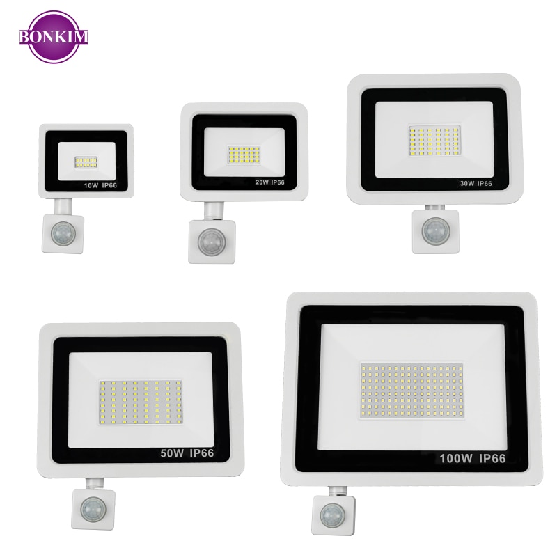 LED PIR Motion Sensor Floodlight AC220V Cold White Indoor Outdoor Spotlight IP66 Waterproof Courtyard Footpath Sensing Lighting