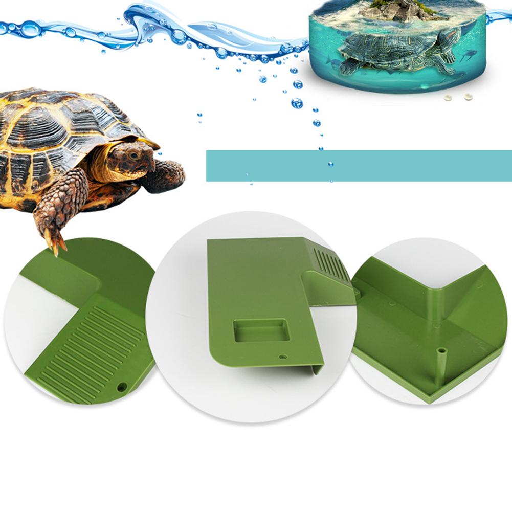 Turtle Drying Platform Turtle Basking Platform Dry – Grandado