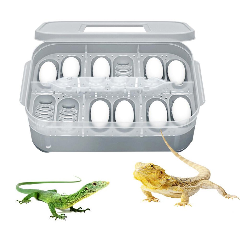 Firben æg klækker kasse terrarium inkubation værktøj kæledyr krybdyr firben gecko slange 12 gitter æg klækning-avl æske kasse inkubator