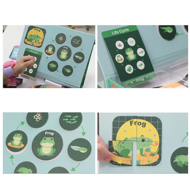 88Pcs Kinderen Vroege Educatief Speelgoed Dier Groei Levensduur Puzzel Speelgoed Voor Meer dan 3 Jaar Oude Kinderen Magnetische Puzzel