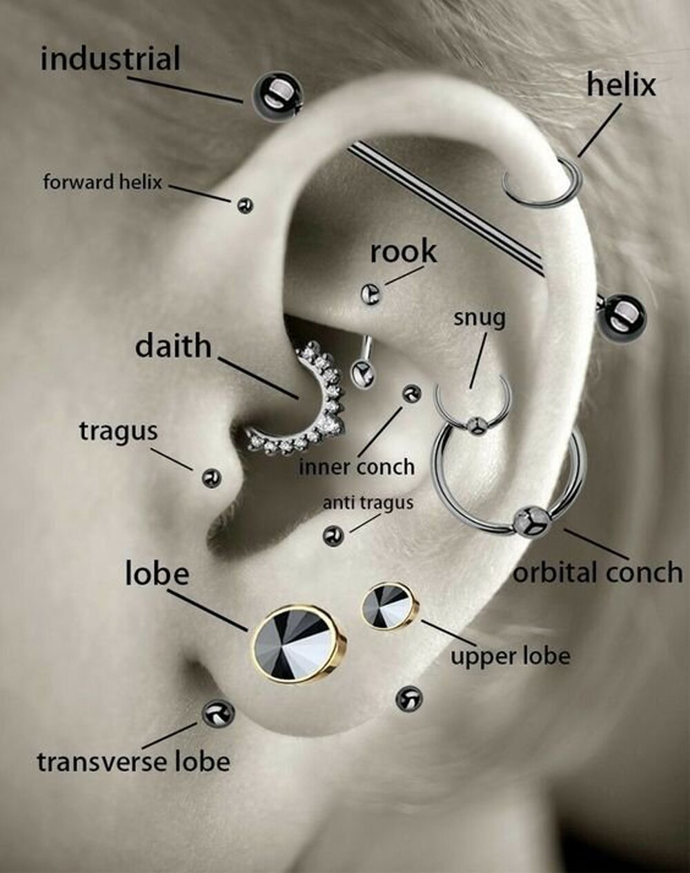 1 pz acciaio inossidabile ape orecchini a bottone Tragus cartilagine orecchino Piercing ape filettato internamente Labret Stud Piercing gioielli per il corpo