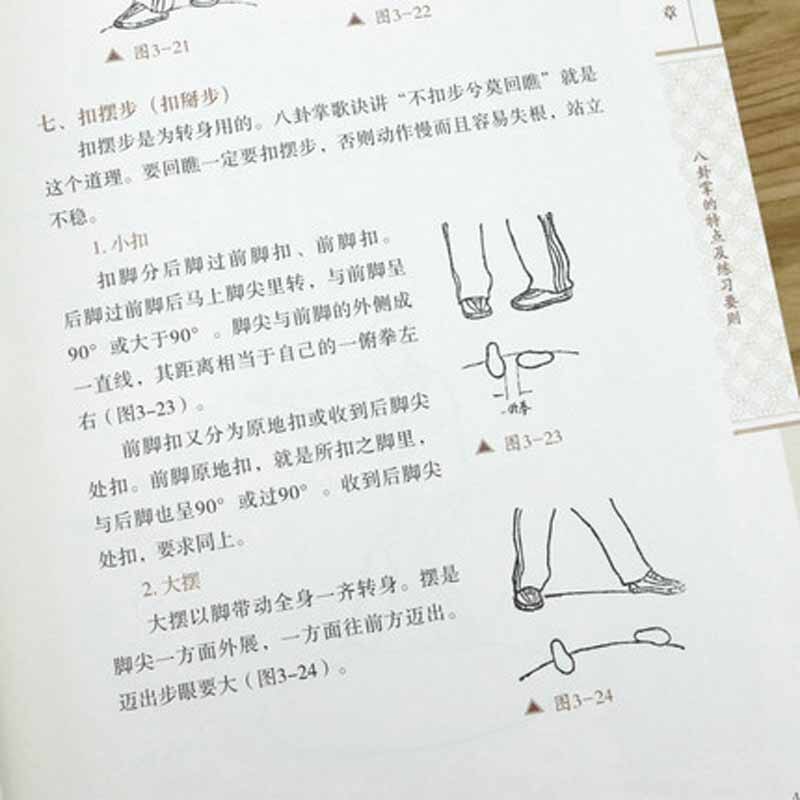 Ba Gua Zang Chinese traditional fitness method Book