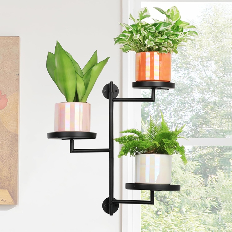ZerzSemp Doorzichtige hangende plantenplanken, indoor ramen muur opknoping plantenstandaard bloem display, bloempot organizer opslag voor venster kweken kruiden, microgroenten, vetplanten, bloem