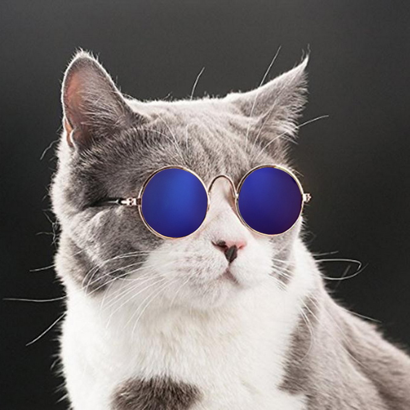 Novo 1pc adorável pet cat óculos cão óculos produtos para animais de estimação pequeno cão olho de gato-usar óculos de sol do cão fotos acessórios para animais de estimação
