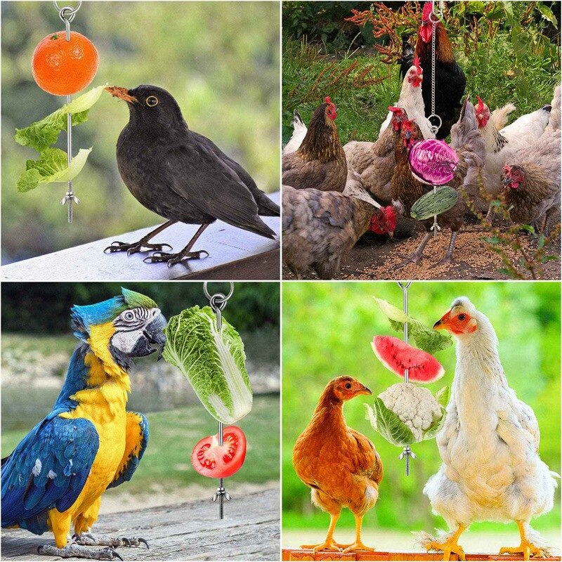 4Pack Kip Groenten Spies Fruit Houder Voor Kippen Huisdier Kip Groente Opknoping Feeder Speelgoed Voor Kippen Grote Vogels-zilver