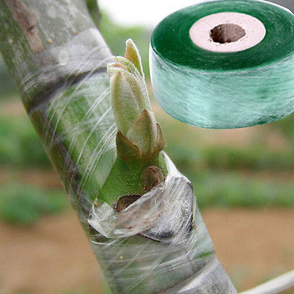 2Cm * 100M Enten Tape Rolling Multifunctionele Makkelijk Mee Geënt Membraan Voor Bloem Enten Snoeischaar Enten Wrap film