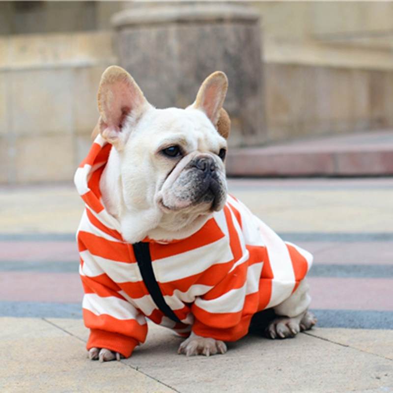 [& mpk butik] husdjur hund fransk bulldog kläder orange rand med dragkedja, hund kläder, sällskapsdjur kostym