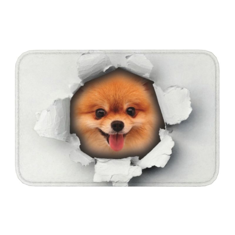 Pomeranian Welpe Bodentür Küche Badezimmer matt Anti-Rutsch draussen Spitz Pom Hund Fußmatt Garten Eingang Teppich Teppich Fußpolster: verrotten