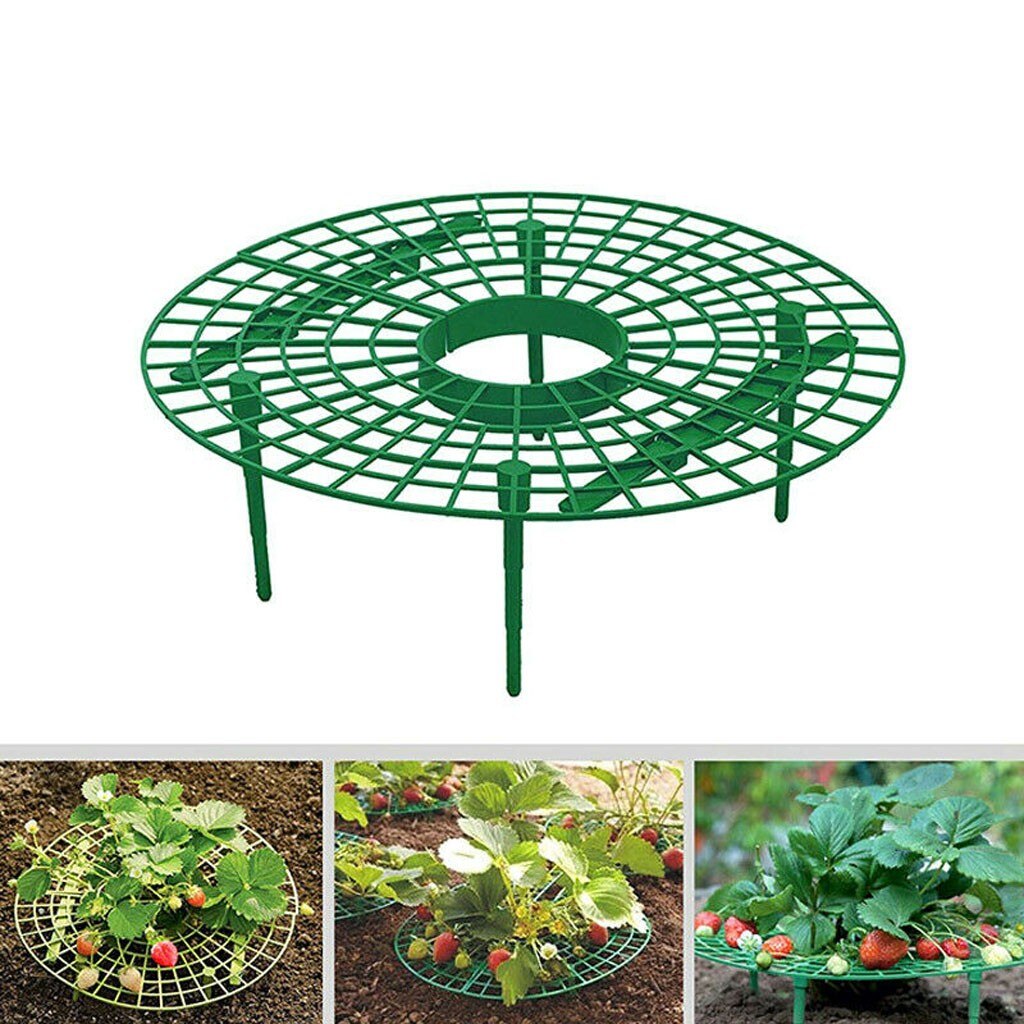 Strawberry Plant Growing Supports Plant Cages Keep Strawberries Off Rot In The Rainy Days Gardening Tools And Equipment