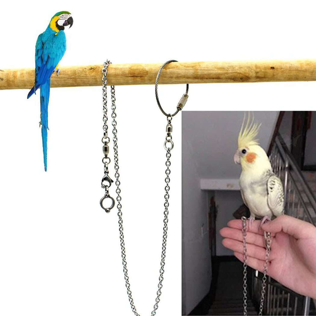 Cadena de pie para pájaros, cadena de pie creativa de acero inoxidable para loros, suministros para pájaros, cadena de pie, suministros para mascotas para loros: 5.5MM