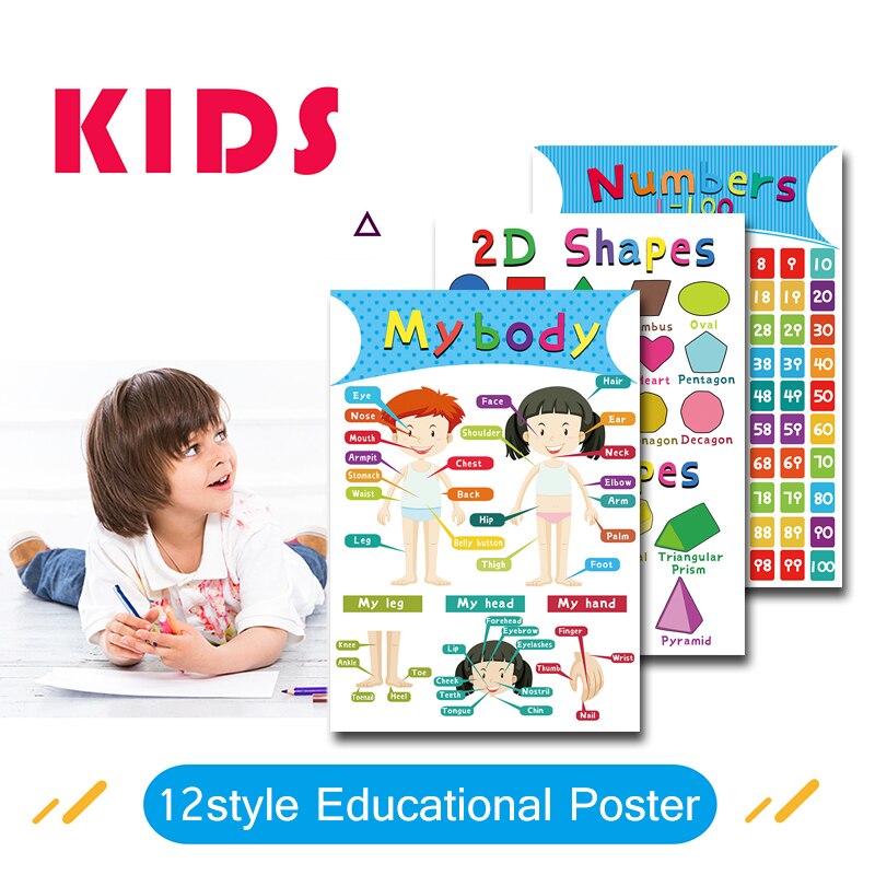 1Pcs 40X28Cm Materials for Children's Primary Education Paper Alphabet,number,color,seasons,farm Animals,my Body