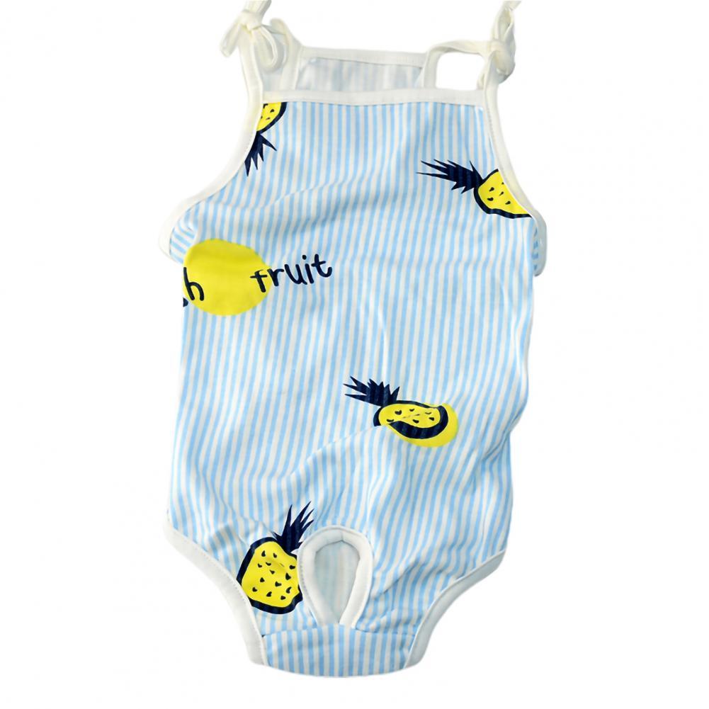 Pantalon court confortable pour animaux de compagnie, à utiliser en extérieur, couche-culotte élastique, sanitaire pour animaux de compagnie: Bleu / XL