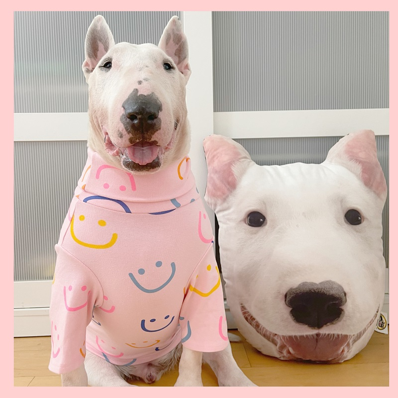 Pug Franse Bulldog Corgi Samojeed Husky Labrador Golden Retriever Bull Terrier Amerikaanse Bully Pitbull Hond Kleding Shirt Pyjama
