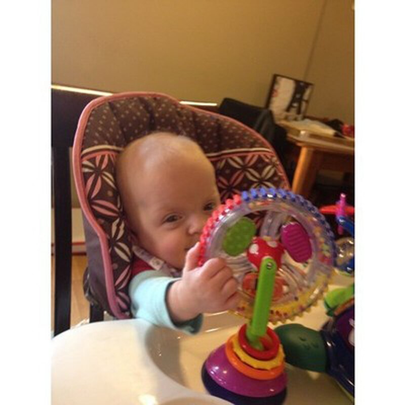 SCCJGL 1Pc Baby Toy Three-color model Rotating Windmill Noria Stroller Dining Chair with suction cups Educational Toys For Baby
