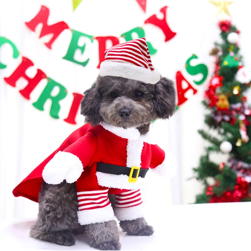 Grappige Kerstman Kleding Voor Kleine Medium Grote Honden Katten Leuke Kerst Kerstman Mantel Warme Outfit Kostuum Set cosplay: S