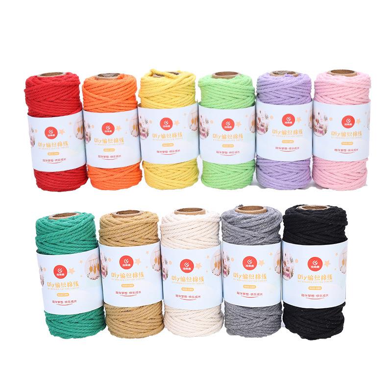 Fil de corde coloré 100% coton torsadé style Boho, 3mm, pour macramé, Parachute, bricolage, artisanat de Scrapbooking à la maison