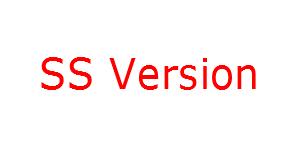 Spa & pool 4 "inch spa jets PLASTIC/SS with single hole: SS Version