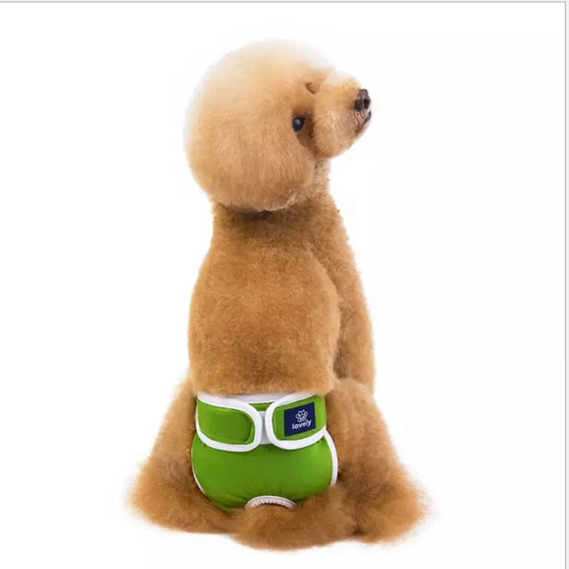 Hond Veiligheid Broek Huisdier Fysiologische Broek