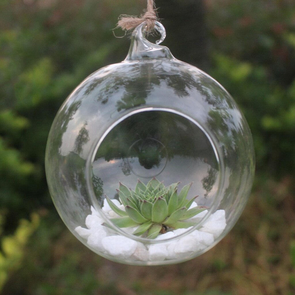 25 vaser blomst hengende vase glass planter plante terrarium beholder hjem bryllup dekorasjoner blomst hengende vase: L