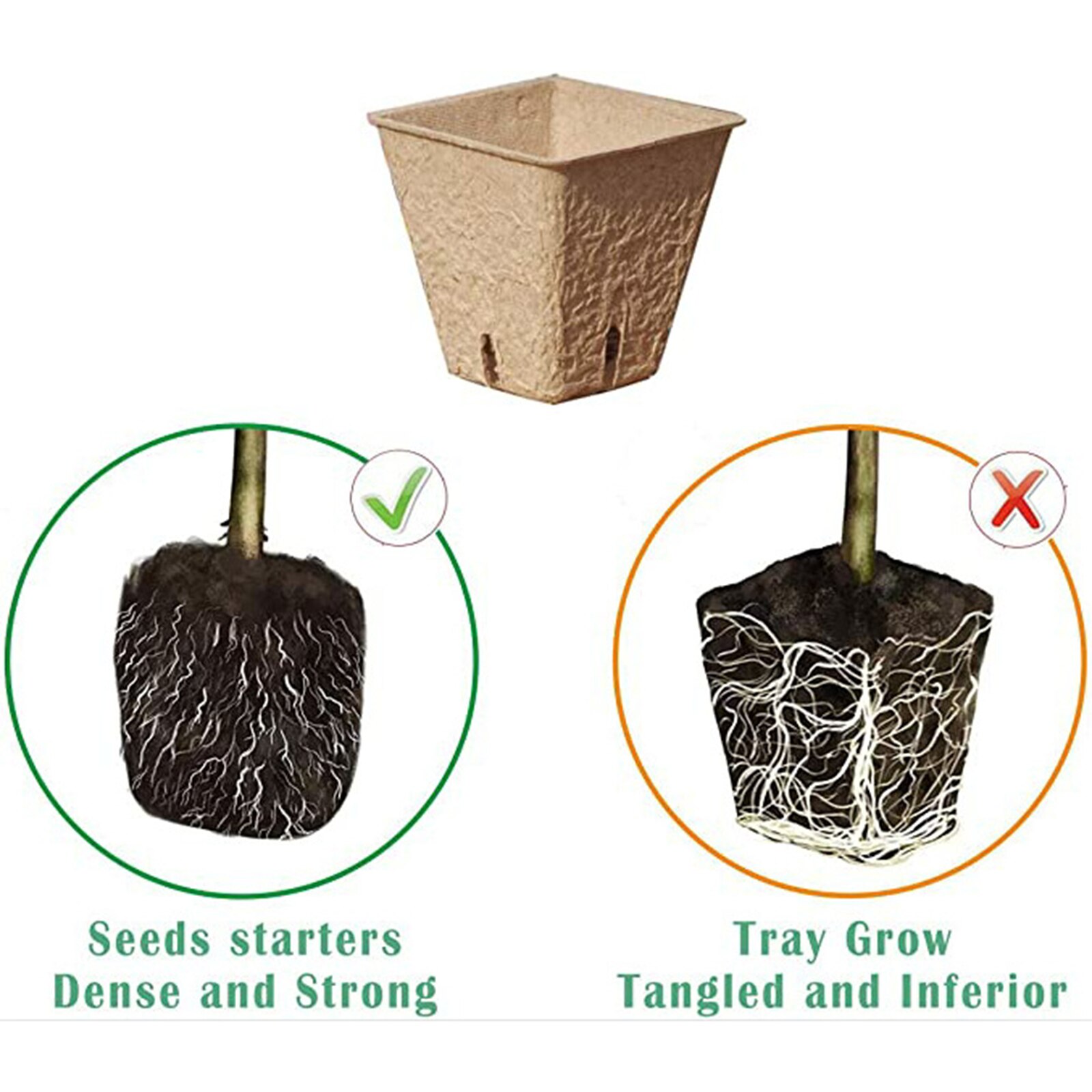 Seedling Tray Set with Transparent Lid Plant Germination Healthy Plastic Accessory