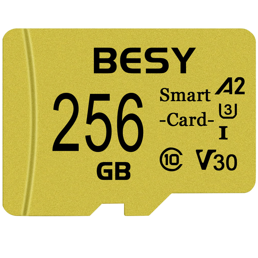 Micro-Speicherkarte 2 GB 4 GB 8 GB 16 GB SD-Karte High Speed 32 GB C10 TF-Flash-Karte für Telefonüberwachungskamera Minisd 64 GB 128 GB 256 GB: 256 MB