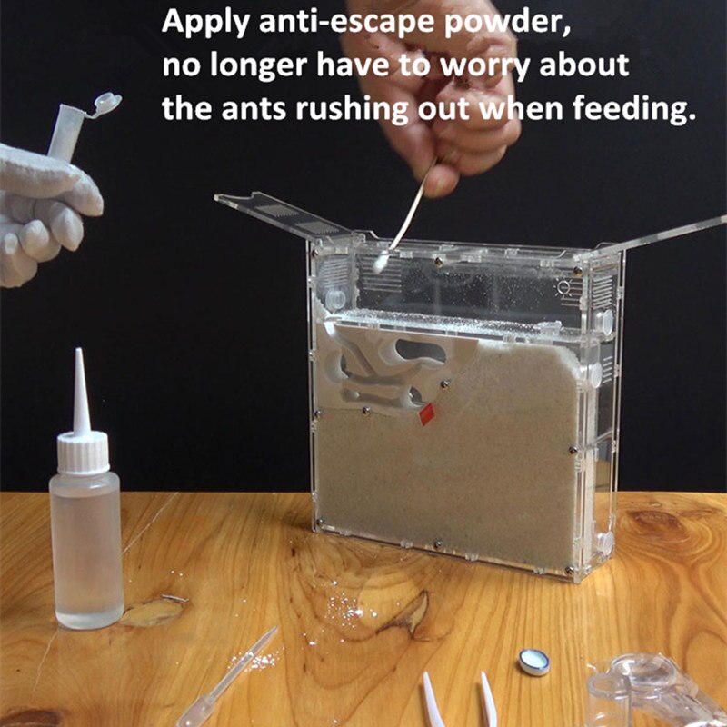 Ant Workshop Ecological acrylic Ant Nest Acrylic Sand Nest Sandcastle Home Living for Ants