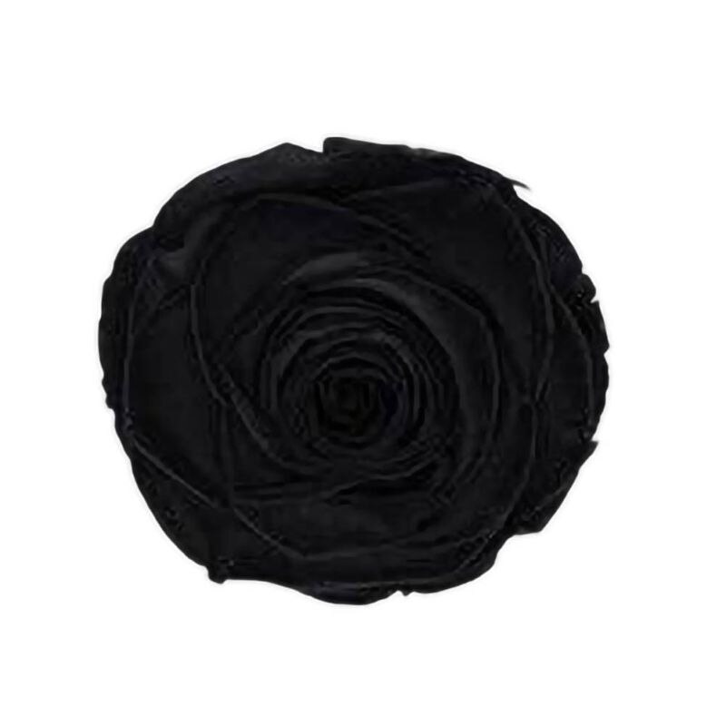 6 Roses Dried Flower Flower Head Eternal Flower B-class Wedding Family Decoration Valentine's Day Mother's Day: B