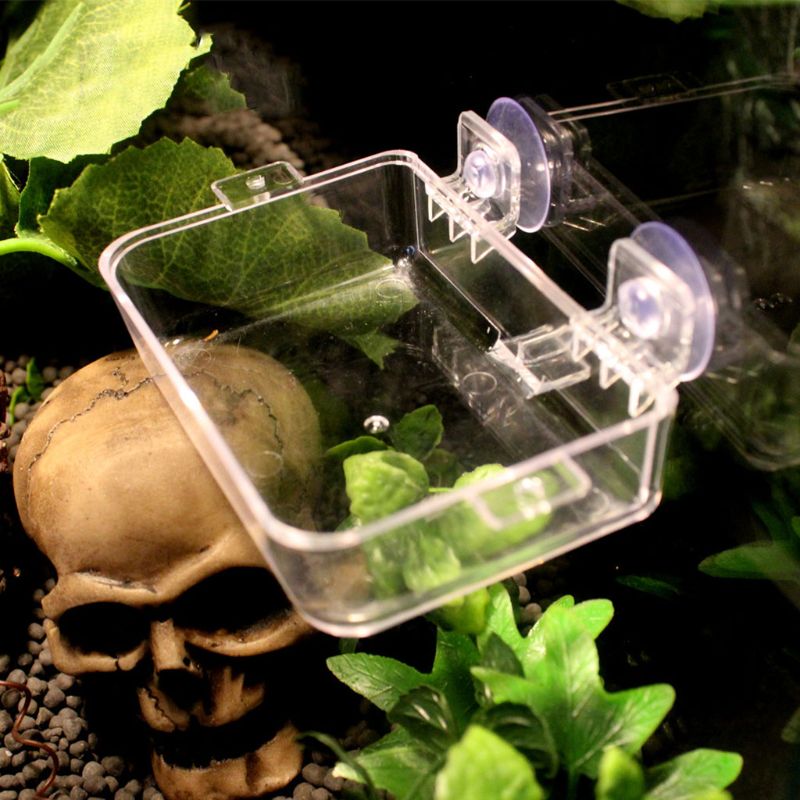 Anti-Escape Voedsel Kom Worm Live Veevoeder Container Voor Huisdierenhagedis Kameleon Reptiel Feeder Anti-Escape Voedsel Kom schildpad Hagedis