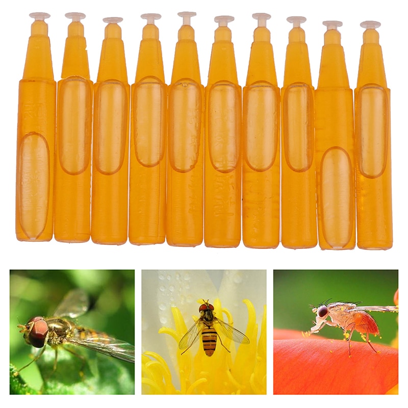10 Stks/set Bijenteelt Bijenkorf Honing Vruchten Tool Bee Swarm/ Fruit Fly Lokstof Kunstaas Bait Trap