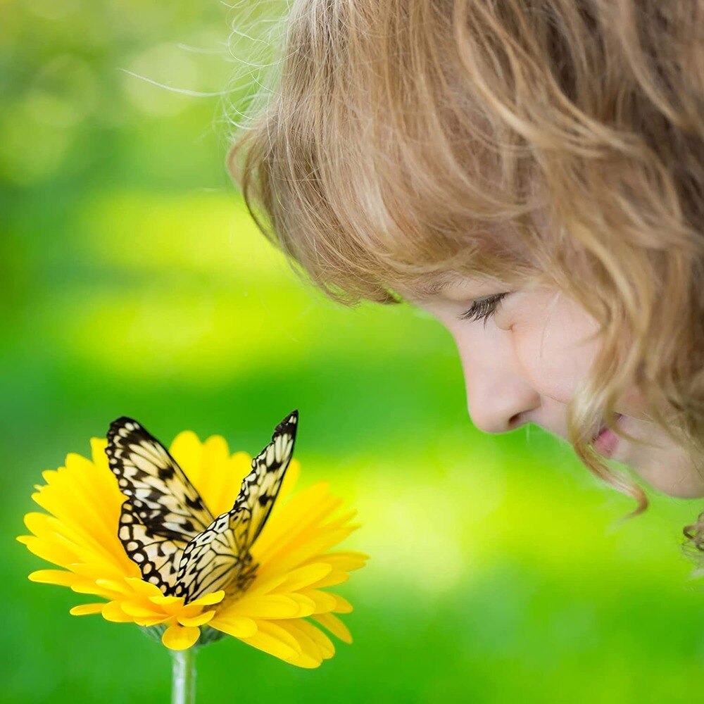 24/36 Inches Tall Insect and Butterfly Habitat Cage, Monarch Butterfly Garden House Kit for Caterpillars Pop-up Outdoor