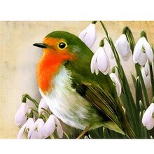 Steen Schilderen Olieverf Orchidee Groene Vogel Ronde Diamant Vol Diamanten 5d Diy Kruissteek Diamant Schilderij