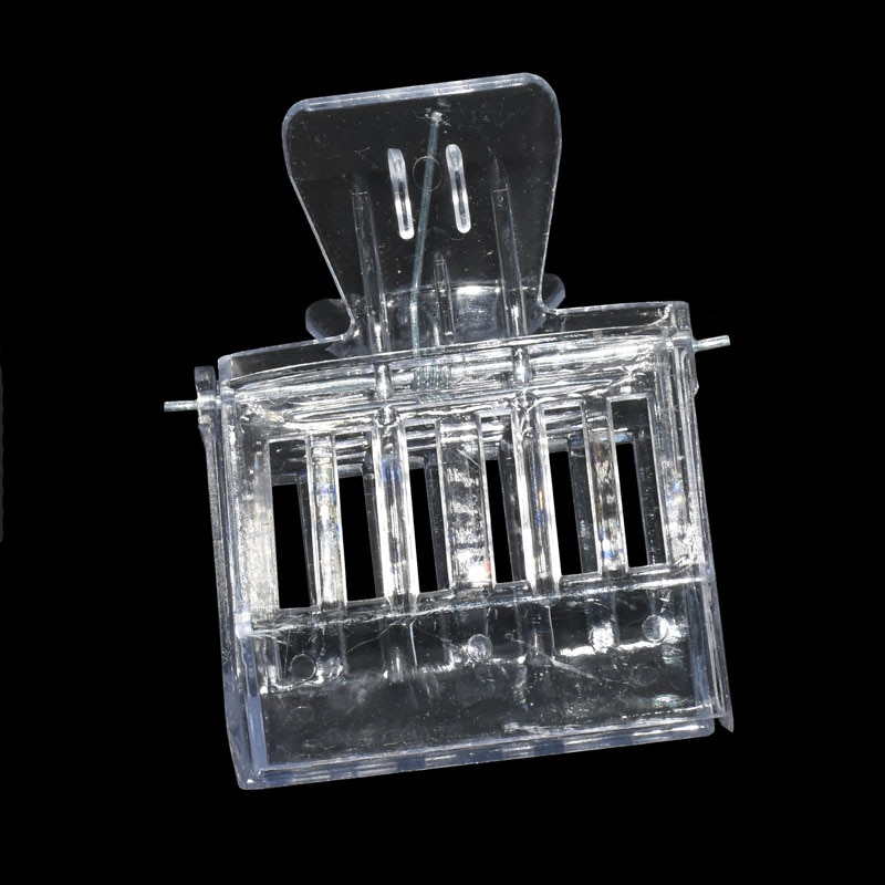 Cage à Clip pour abeilles, 2 pièces, pince pour abeilles, ruche, miel, reine, outils pour apiculteur