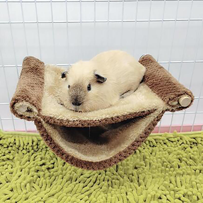 Hamac en peluche pour petits animaux de compagnie, sac de couchage pour hamster, accent d'animaux de compagnie, fournitures pour animaux de compagnie, accessoires de maison pour rat, SLaura rel conflicjos: S / SCARLET