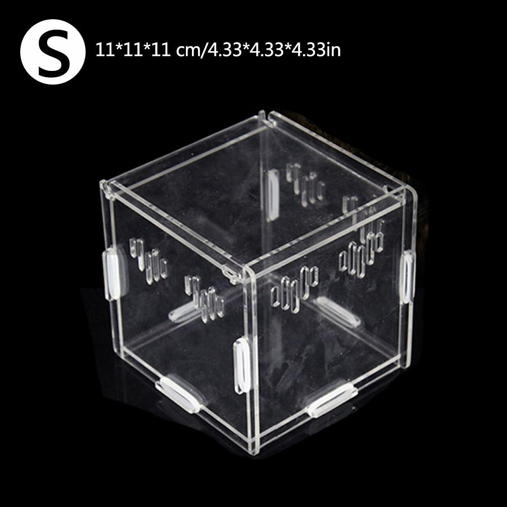 Latest Reptile Breeding Box Acrylic Transparent Sliding Cover Reptile Tank Insect Spiders Tortoise Lizard Feeding Box Terrarium: 11 11 11cm