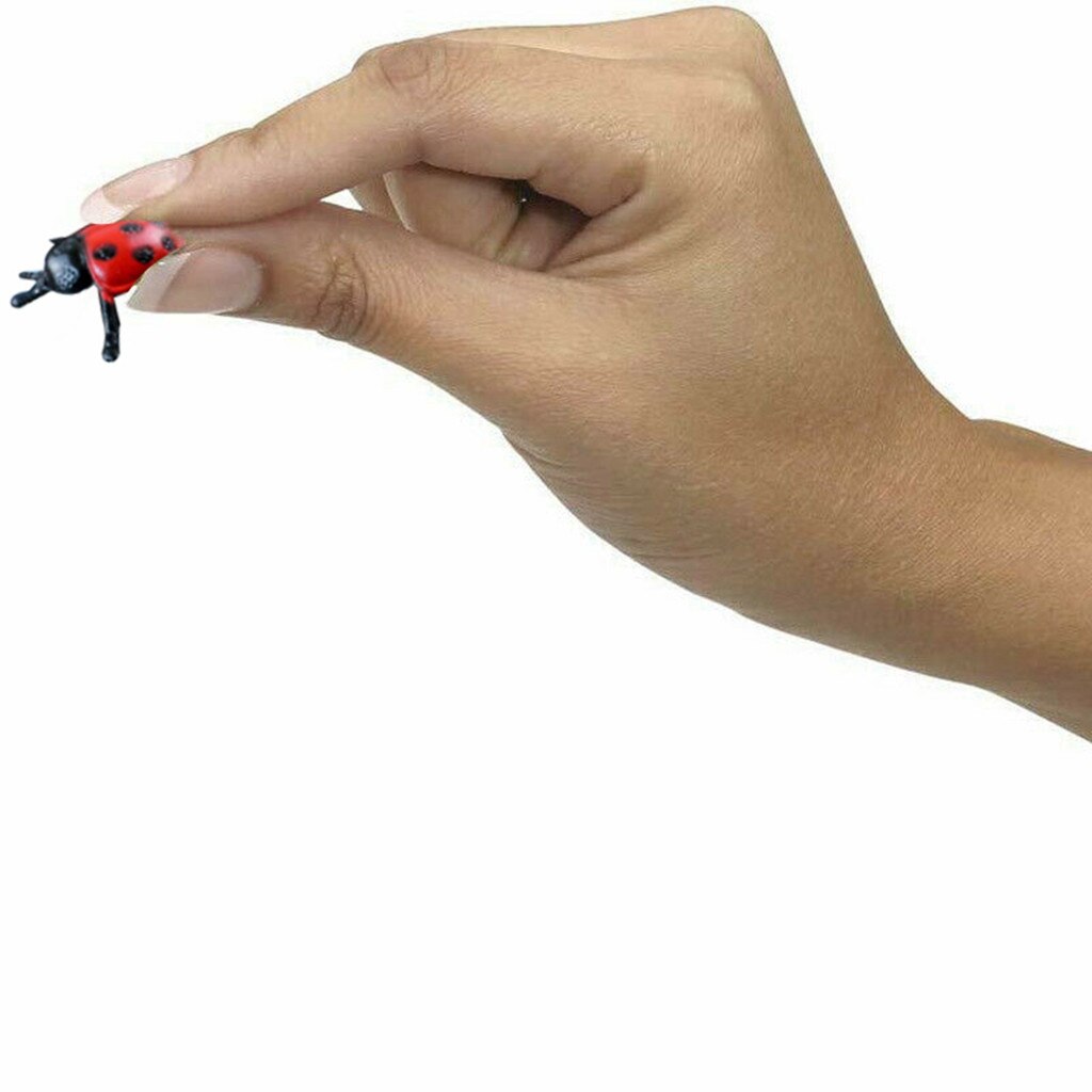 Instant Illusion Maker 3D Mirascopes Home Durable Visual Optical Image Portable Early Education Parabolic Magic Toy