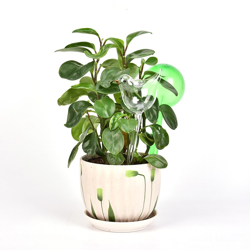 Plante vanner selvvanning jordkloder, fugl form håndblåst klart glass aqua pærer