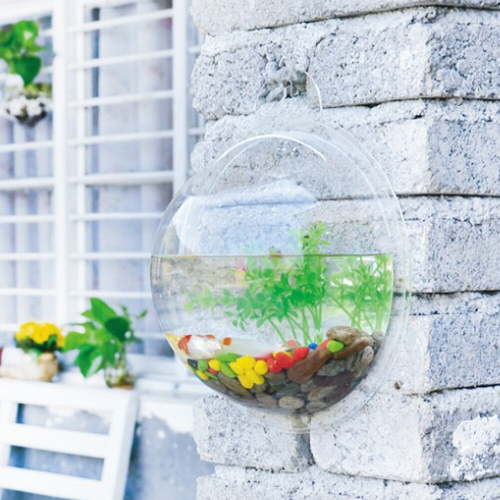 Aquarium mural en acrylique | Suspendu, fleur, Vase rond, Pot de plantes suspendu, décoration aquaticanimale domestique, fournitures pour animaux