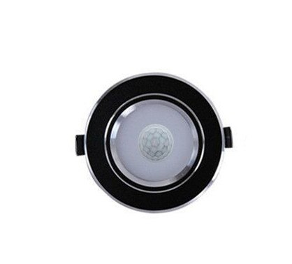 Led loftslampe smart hjem bevægelsessensor ned lys lamparas 5w 7w 9w 12w til entre trapper depot børneværelse panel lamper: Sort / 12w kold hvid