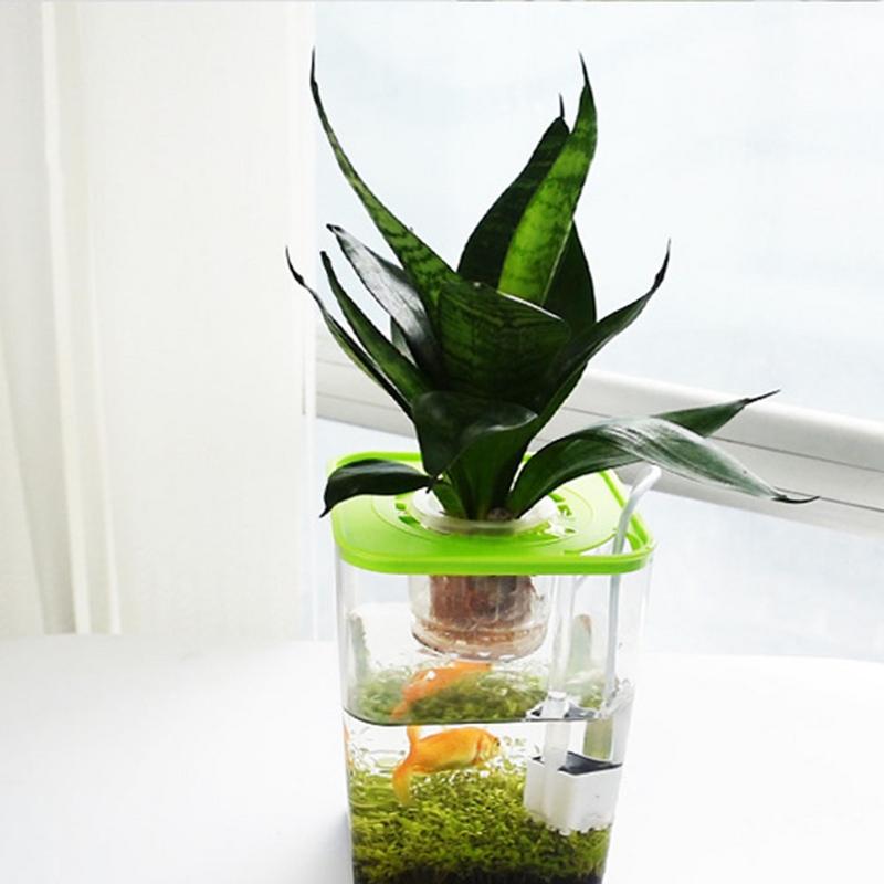 Pecera acrílica para peces y verduras, pecera transparente de escritorio para acuario, agua libre de simbiótica, para oficina, original